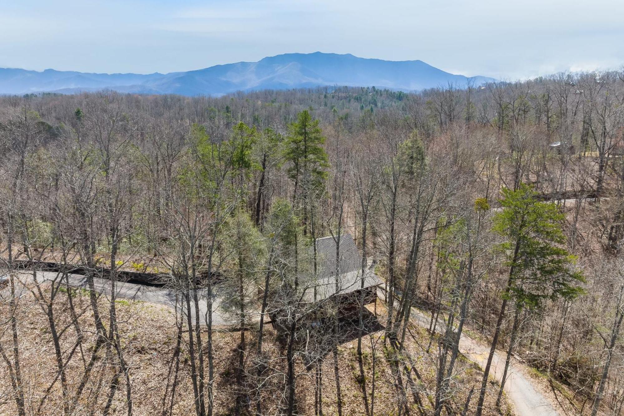 Dudley II By Avantstay Comfortable Cabin W Hot Tub Views Pigeon Forge Exterior foto